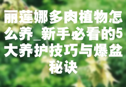 丽莲娜多肉植物怎么养_新手必看的5大养护技巧与爆盆秘诀