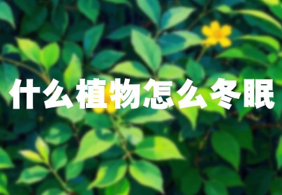 什么植物怎么冬眠