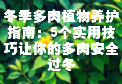 冬季多肉植物养护指南：5个实用技巧让你的多肉安全过冬