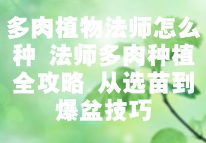 多肉植物法师怎么种 法师多肉种植全攻略 从选苗到爆盆技巧
