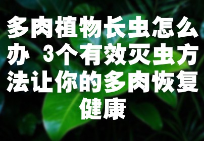 多肉植物长虫怎么办 3个有效灭虫方法让你的多肉恢复健康