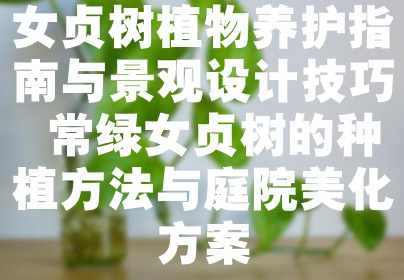 女贞树植物养护指南与景观设计技巧 常绿女贞树的种植方法与庭院美化方案