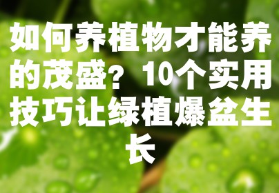 如何养植物才能养的茂盛？10个实用技巧让绿植爆盆生长