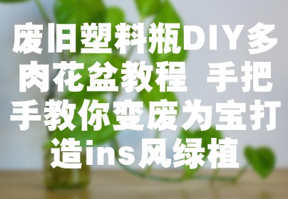 废旧塑料瓶DIY多肉花盆教程 手把手教你变废为宝打造ins风绿植