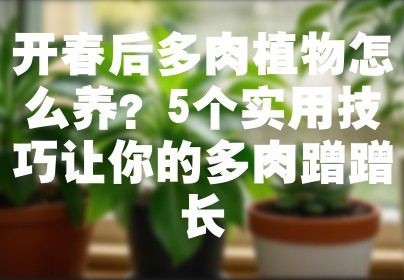 开春后多肉植物怎么养？5个实用技巧让你的多肉蹭蹭长