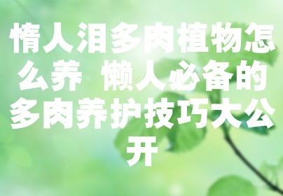 惰人泪多肉植物怎么养 懒人必备的多肉养护技巧大公开
