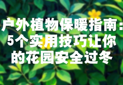 户外植物保暖指南：5个实用技巧让你的花园安全过冬