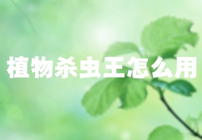 植物杀虫王怎么用