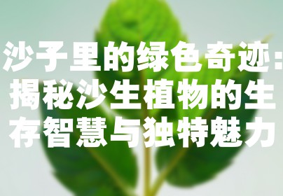 沙子里的绿色奇迹：揭秘沙生植物的生存智慧与独特魅力