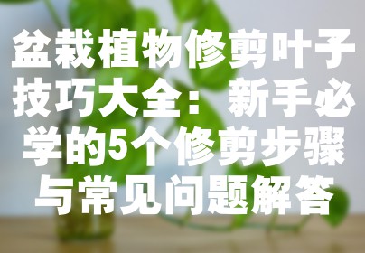 盆栽植物修剪叶子技巧大全：新手必学的5个修剪步骤与常见问题解答