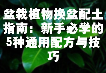 盆栽植物换盆配土指南：新手必学的5种通用配方与技巧
