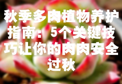 秋季多肉植物养护指南：5个关键技巧让你的肉肉安全过秋