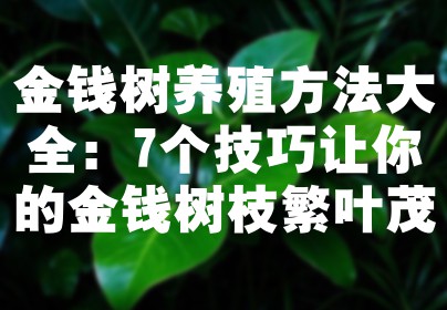 金钱树养殖方法大全：7个技巧让你的金钱树枝繁叶茂