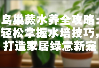 鸟巢蕨水养全攻略：轻松掌握水培技巧，打造家居绿意新宠